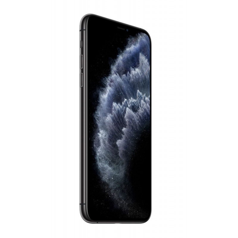 iPhone 11 Pro Max 512 Go Gris Sidéral