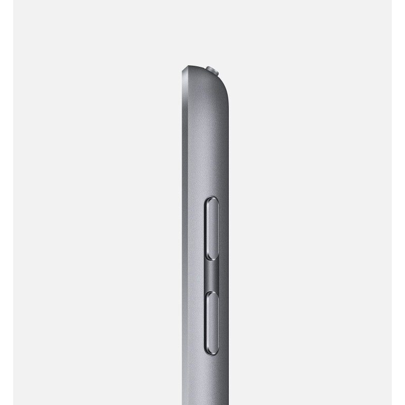 iPad 9,7" 6e génération (2018) 32 Go 4G Gris Sidéral Reconditionné